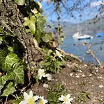 Hotel Hotel Seaside Spiez