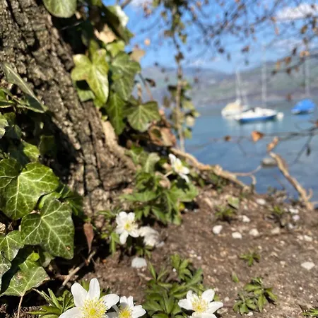 Hotel Hotel Seaside Spiez