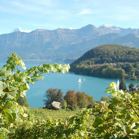 Hotel Seaside Hotel Spiez