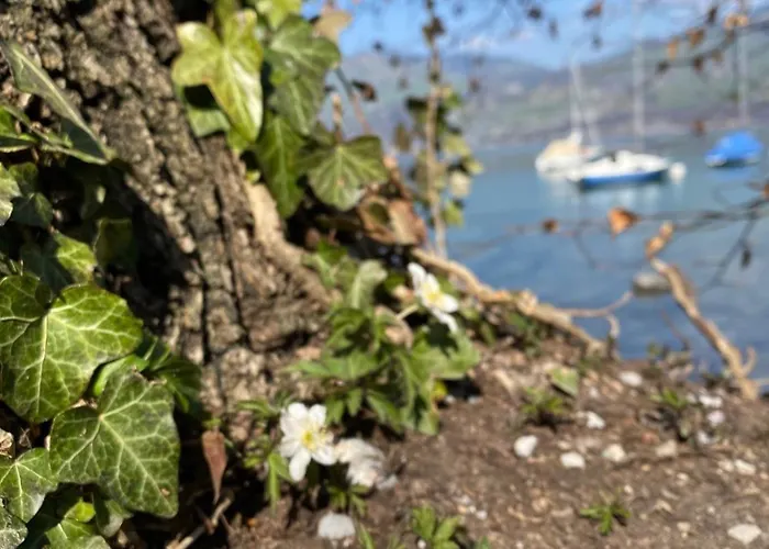 Hotel Hotel Seaside Spiez